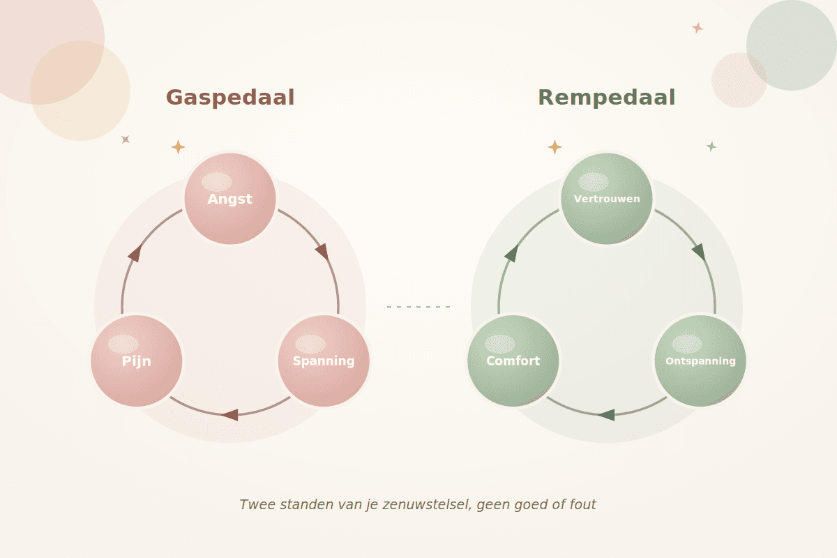 The two circles: gas pedal and brake pedal during birth